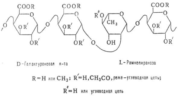 3527-9.jpg