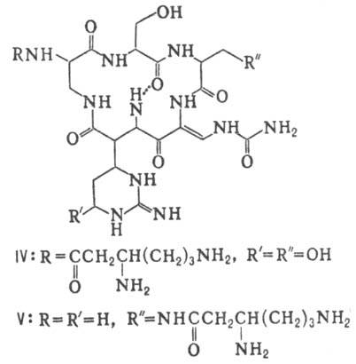 3530-7.jpg