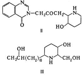 3541-2.jpg