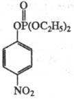 5025-14.jpg