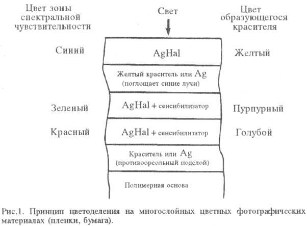 5033-2.jpg