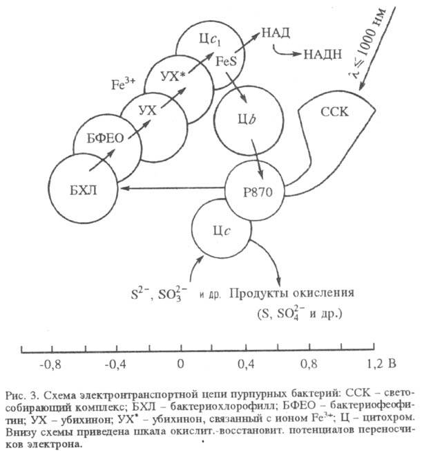 5035-15.jpg