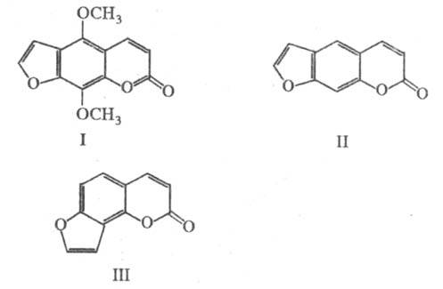 5035-3.jpg