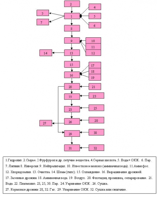 Курсовая работа по теме Технология производства хлебопекарных дрожжей