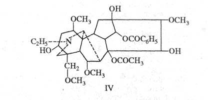 6049-14.jpg